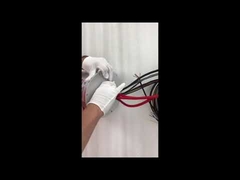 Anel coletor Ethernet ECN000-21P-06S-01EG